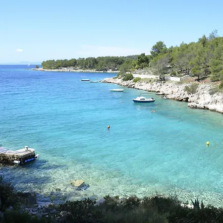 Lotus Milna (Brac)
