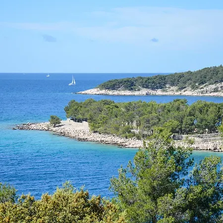 Lotus Milna (Brac)
